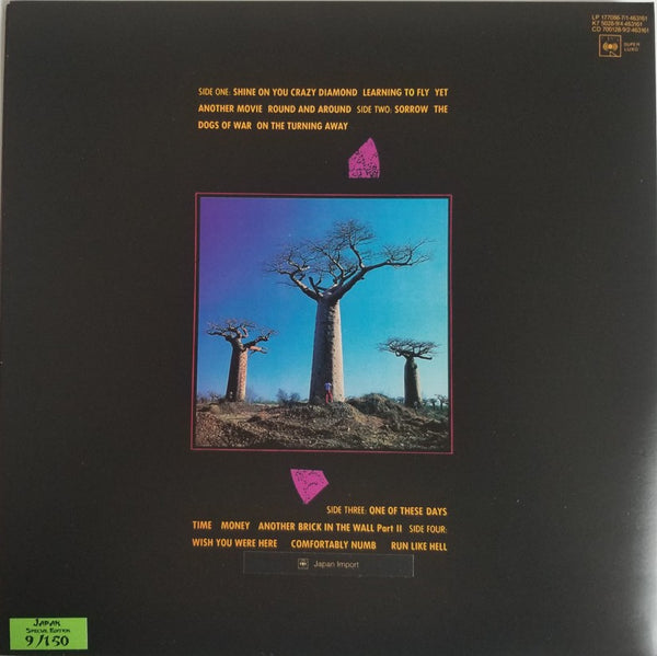 Pink Floyd - Delicate Sound Of Thunder [2LP] Limited & Numbered