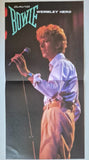 David Bowie - Wembley Hero [2LP] Limited & Numbered Grey Marbled Colored Vinyl, Poster (import)