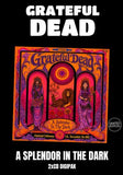 Grateful Dead - A Splendor In The Dark [2CD] Limited Compact Disc