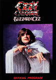Ozzy Osbourne -The Blizzard And Madman Chronicles [2LP + Picture Disc Box] Limited Yellow/Black Mix Colored Vinyl, Numbered (import)