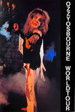 Ozzy Osbourne -The Blizzard And Madman Chronicles [2LP + Picture Disc Box] Limited Yellow/Black Mix Colored Vinyl, Numbered (import)