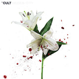 Cult, The - Hidden City [2LP] Limited 180gram 45RPM Black Vinyl