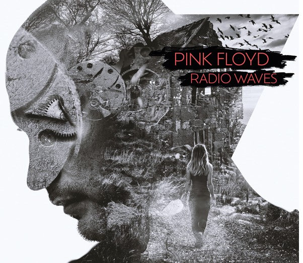 アート・デザイン・音楽 PINK FLOYD Echoes of Energy” Pink Floyd/Dark side of the moon OG